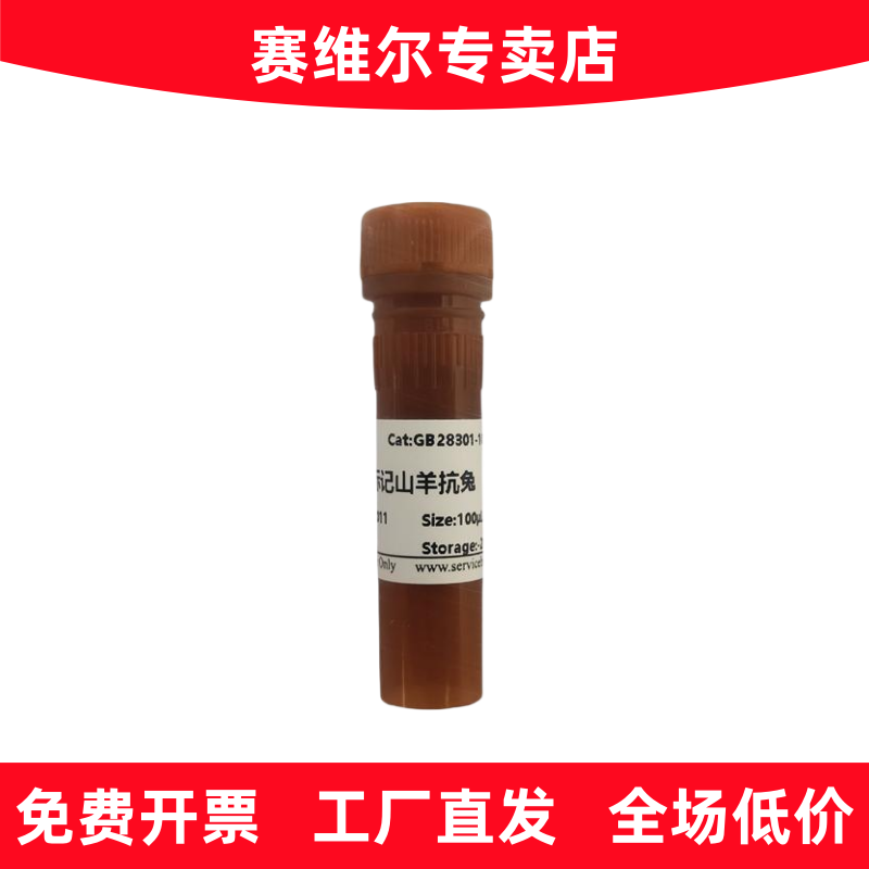 赛维尔 GB28301 Alexa Fluor 594标记山羊抗兔IgG