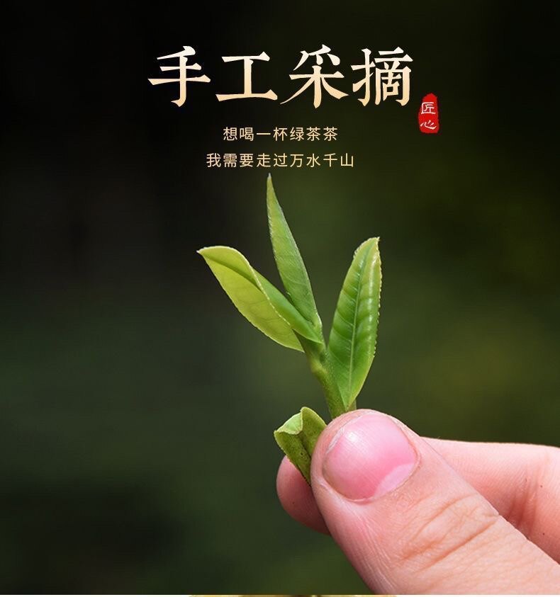 白茶茶叶店的LOGO