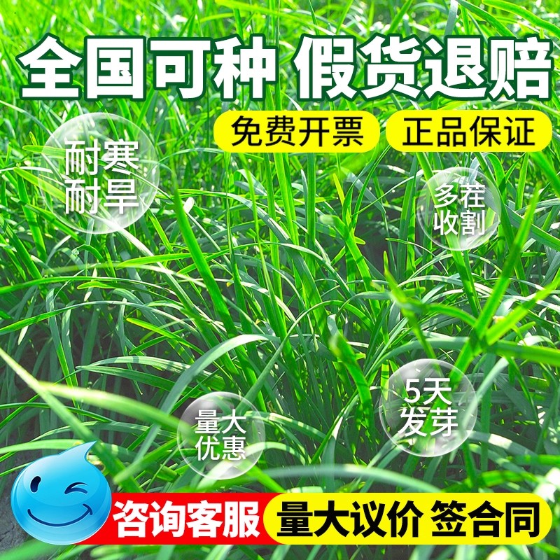 如何写好关于我和农民喂鸡的英文作文?这篇保姆级攻略助你轻松拿高分!