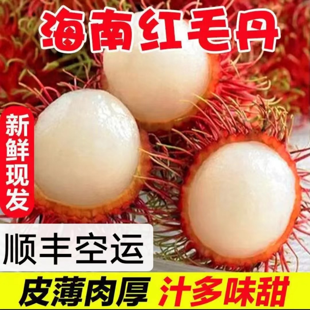 顺丰直送！海南红毛丹5斤新鲜毛荔枝，正宗毛丹果，甜到心里去！-毛丹-淘宝好物网