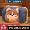 Rechargeable Hot Water Bottle, Explosion-Proof Electric Hand Warmer, Plush Cute Hot Water Bag for Girls, Warm Bed and Hand Warmer