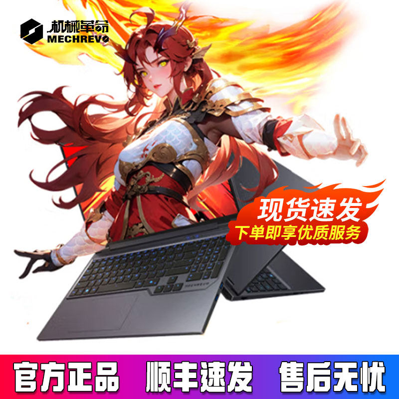 MECHREVO G16 Pro Aurora X ゲーミングノートパソコン