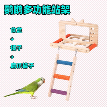 Parrot puzzle training chewing interactive bird supplies