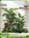 Simulated Plant Bonsai Indoor Decoration Green Plant Combination Ornaments Modern Minimalist Living Room Office Landscaping