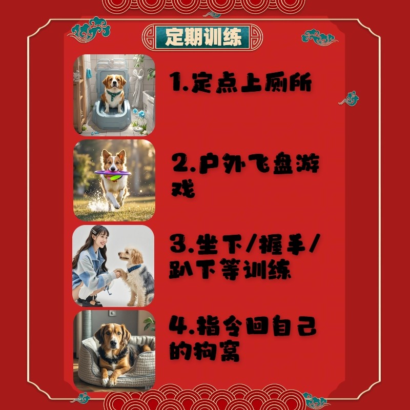 警犬奇缘！免费看拉布拉多警长，大屏投映乐翻天!