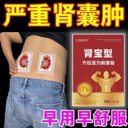 신장 낭종 낭종은 허리와 복부 통증 신장 결석에 맞습니다.