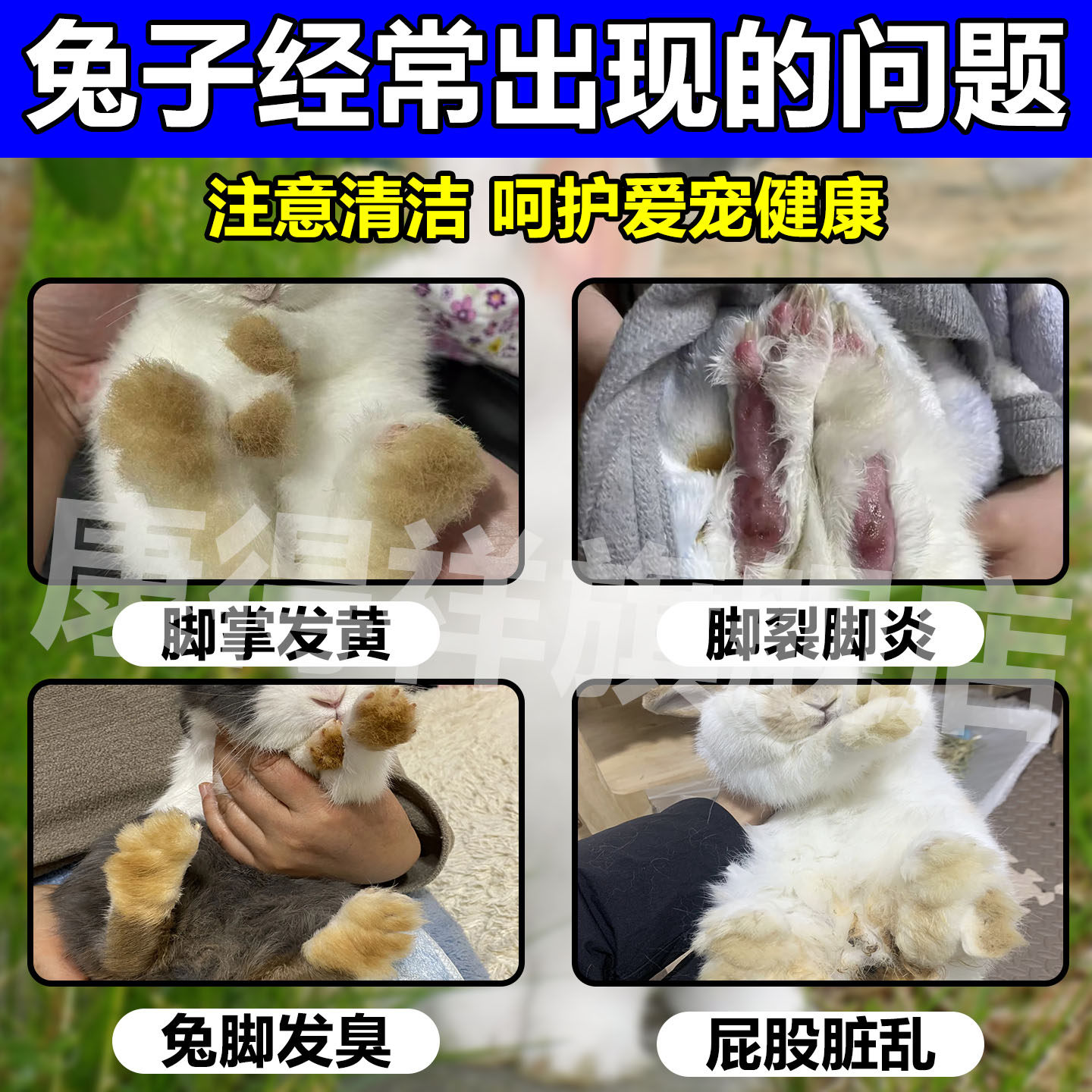 🌟宠物护理好帮手,给兔子最好的脚底护理!🐾-兔兔其他-淘宝好物网