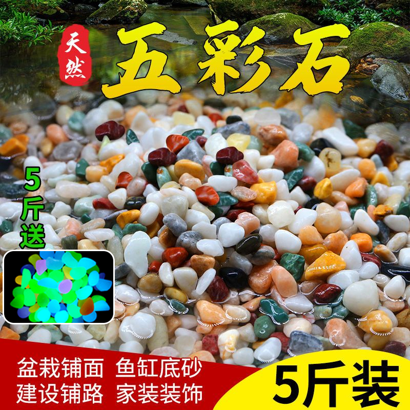 天然の雨の花石、オリジナルの石の水槽の底砂、火山石の造園、小さな石の装飾、カラーストーン、5つの花石のカメの水槽