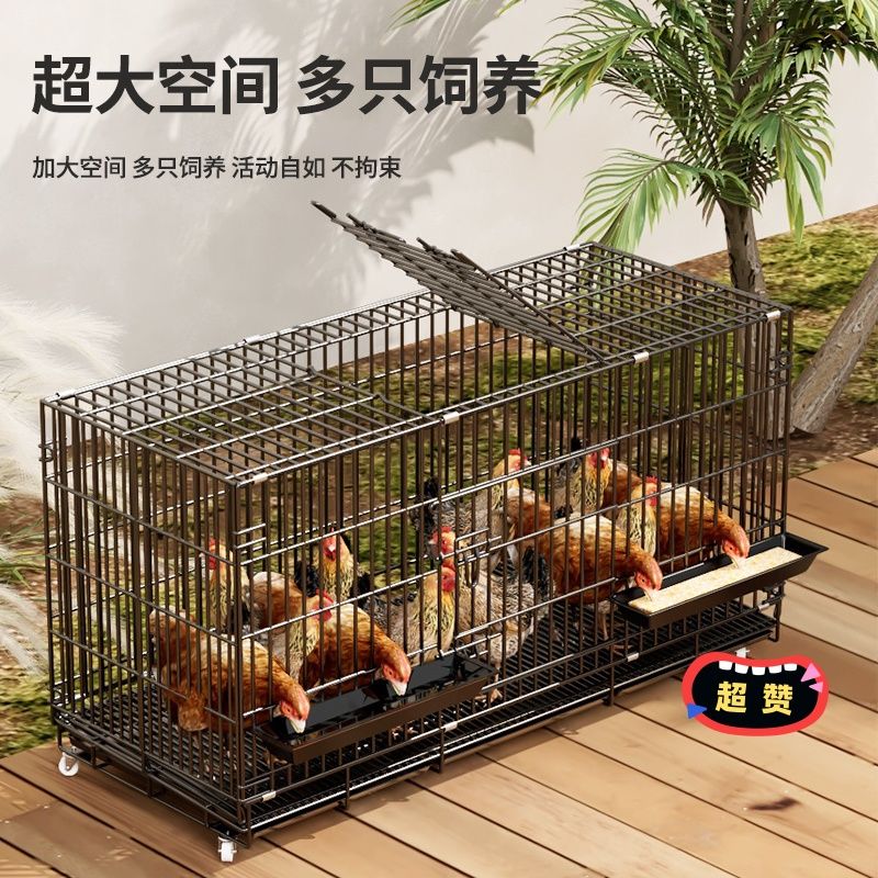 纳晶晶鸡笼子：家庭养鸡新风尚，阳台也能变农场！🏡 -宠物鸡-淘宝百科网