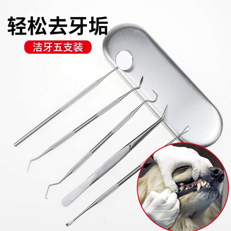 Dogs go to dental calculus cleaning oral washing teeth cleaning dentition teddy gold wool Oral cleaning tool Five pieces of suit