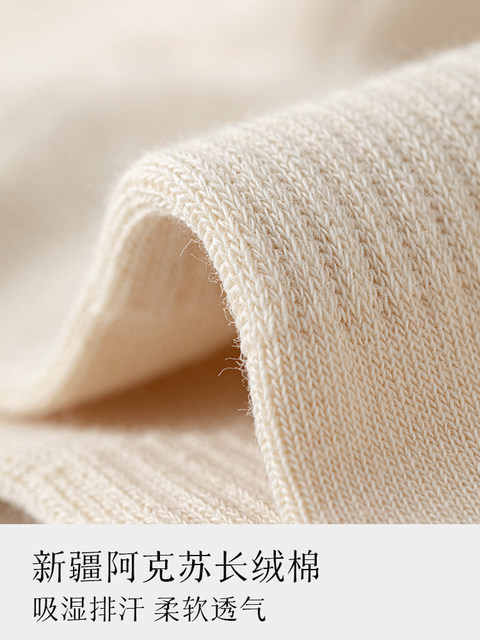 Women's Spring and Summer Cotton No-Show Socks, Non-Slip, Low-Cut, Invisible Sports Short Socks, 2025 New Popular Model