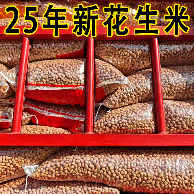 25-Year New Crop White Sand Peanuts, Large Raw Peanut Kernels, 25kg Oil-Extraction Beans, Wholesale Snacks for Drinks, Selected Peanuts