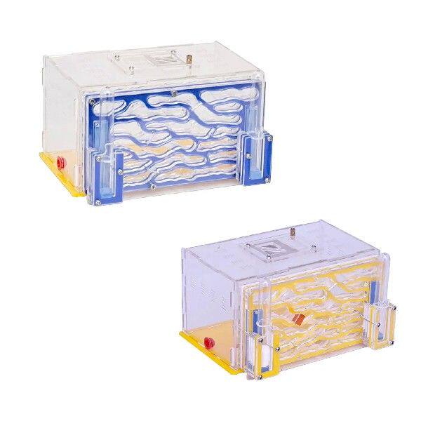 ANT Nest Display Box: 打造你的微观世界，科学DIY新宠儿！-假发发网-淘宝好物网