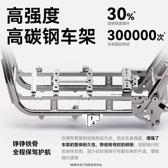 [ by Sf Express] Phoenix Electric Motorcycle 2025 New Model High-Speed Long-Range Electric Vehicle Adult Electric Motorcycle