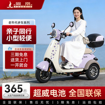Phoenix Beetle 2026 New Model Casual Three-Wheeled Electric Vehicle, Small Electric Scooter for Women, New National Standard for the Elderly