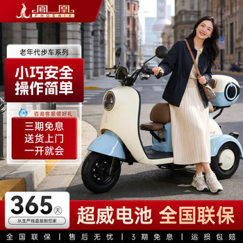 Phoenix New Electric Tricycle for Home Use, Small-Sized Mobility Aid for Women and Elderly, Suitable for Picking up and Dropping Off Children, New National Standard Electric Tricycle