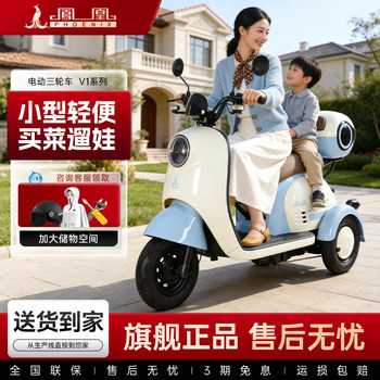 Phoenix 2026 New Model Electric Tricycle for Home Use, Small and Lightweight, Suitable for Picking up Children, Elderly, and Women, Parent-Child Electric Vehicle