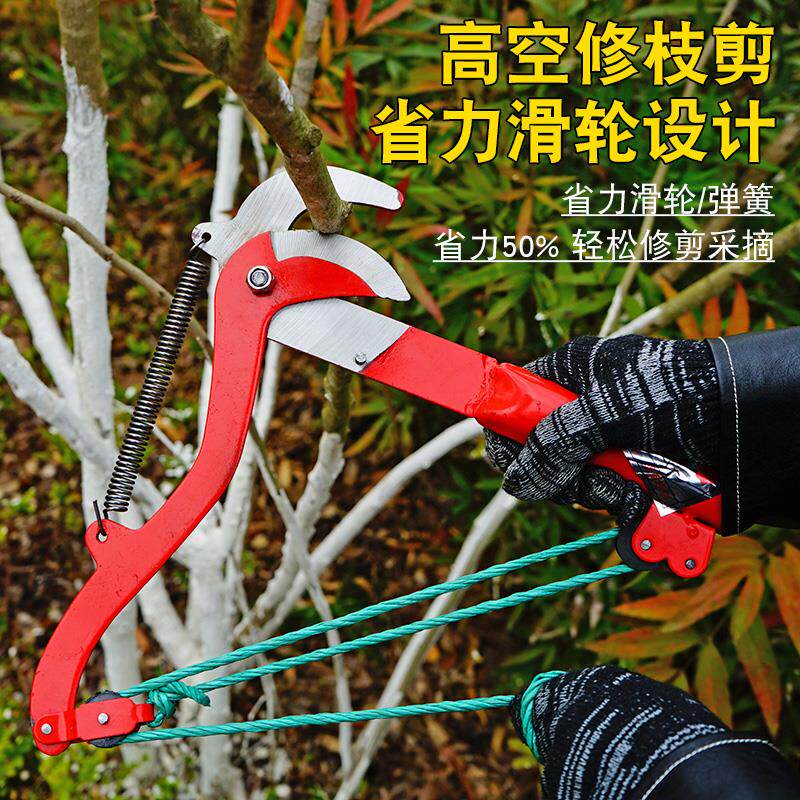 高空作业不怕!伸缩树枝剪刀让你轻松摘果修剪,园林工作不再难!?-园艺刀剪-淘宝好物网