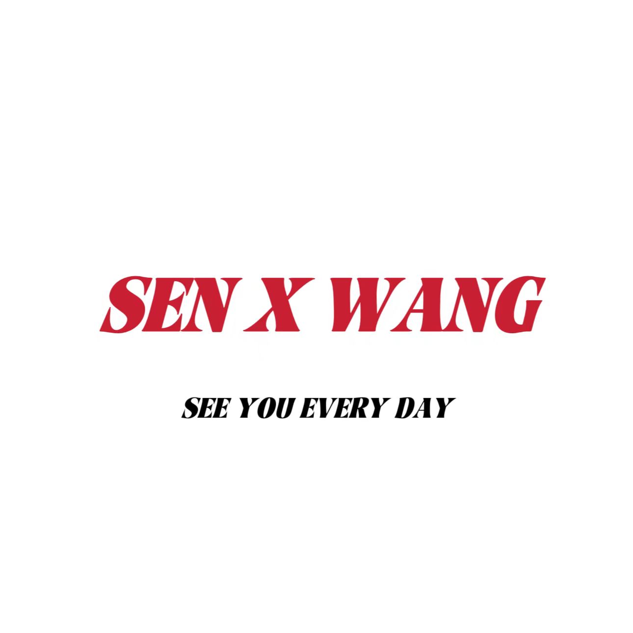 SENXWANG旗舰店