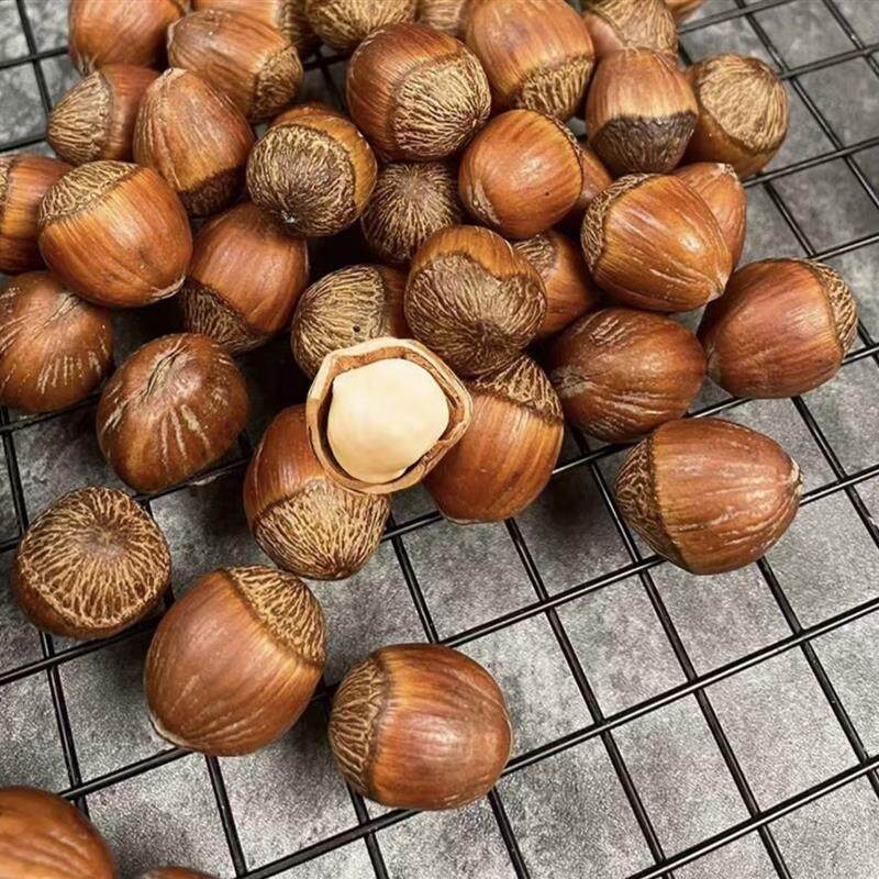 贪贪熊榛子大果不开口好吃吗?有哪些需要注意的地方?-即食板栗-淘宝百科网