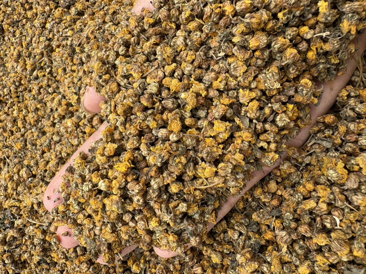 小梁中药材