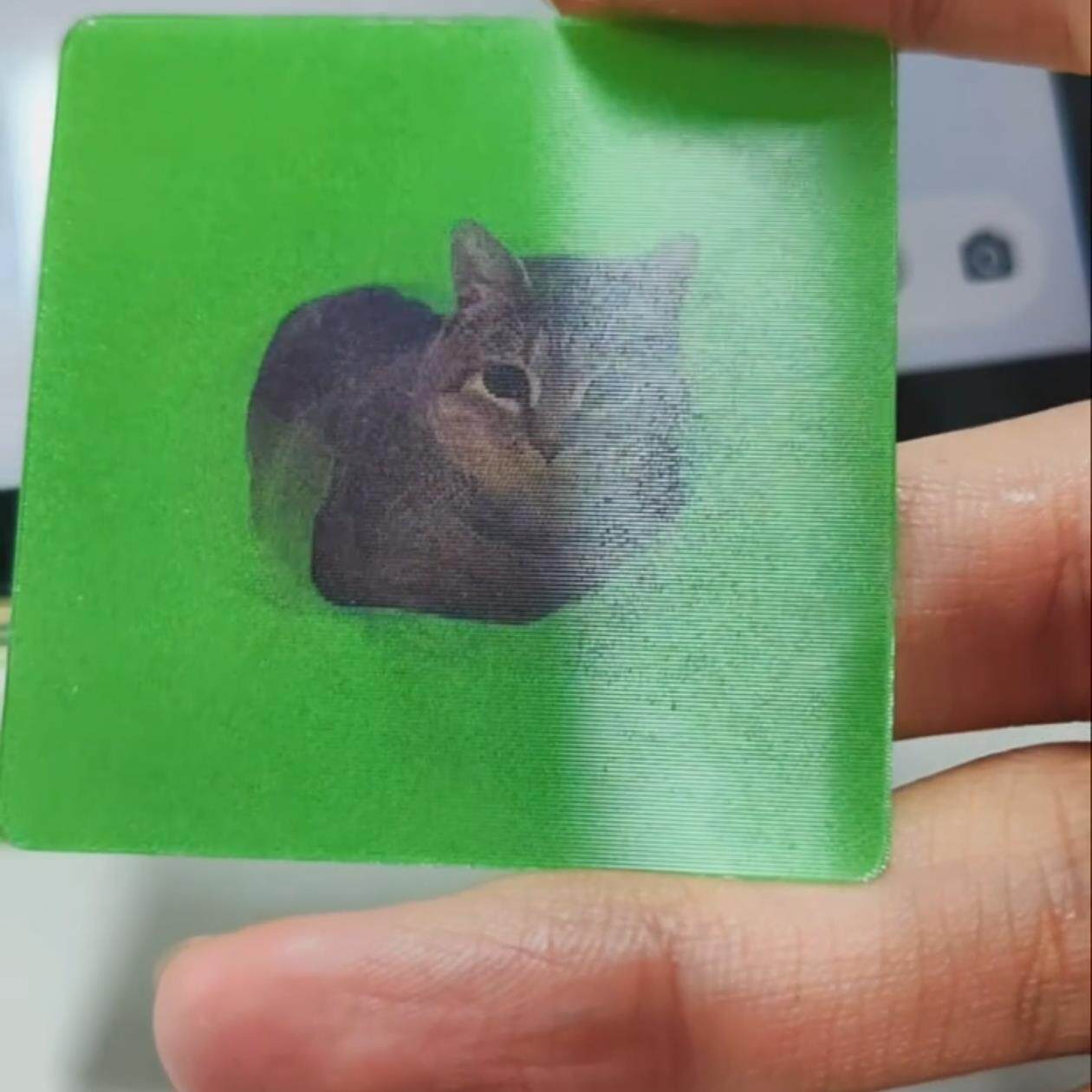 oiiai猫光栅卡旋转挂件钥匙扣小猫萌物送朋友礼物_动漫徽章_淘宝游戏网
