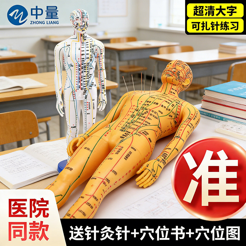 人体针灸穴位模型全身超清晰十二经络人形硅胶中医教学可扎针练习