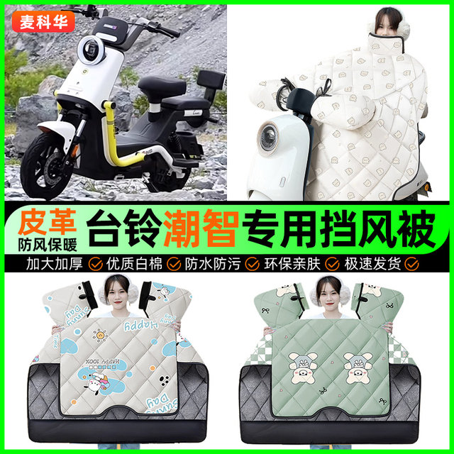 Wind shielding in winter