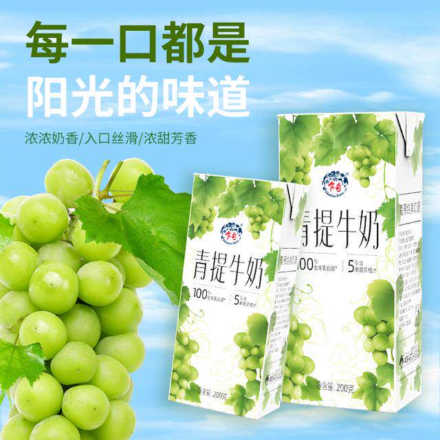 Plateau Pasture Green Milk/Jasmine Milk Refreshing Milk Fragrance Full Box 200g*8 Boxes*2