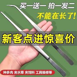 Long Tweezers Stainless Steel Straight Elbow Fish Tank Water Herb Insect Fleshy Clip Tool Big Nie Zi Knead