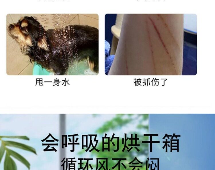 ПЭТ сушильный элемент 宠有家全智能宠物烘干箱中小型狗狗洗澡吹干箱家用极速吹干宠物店