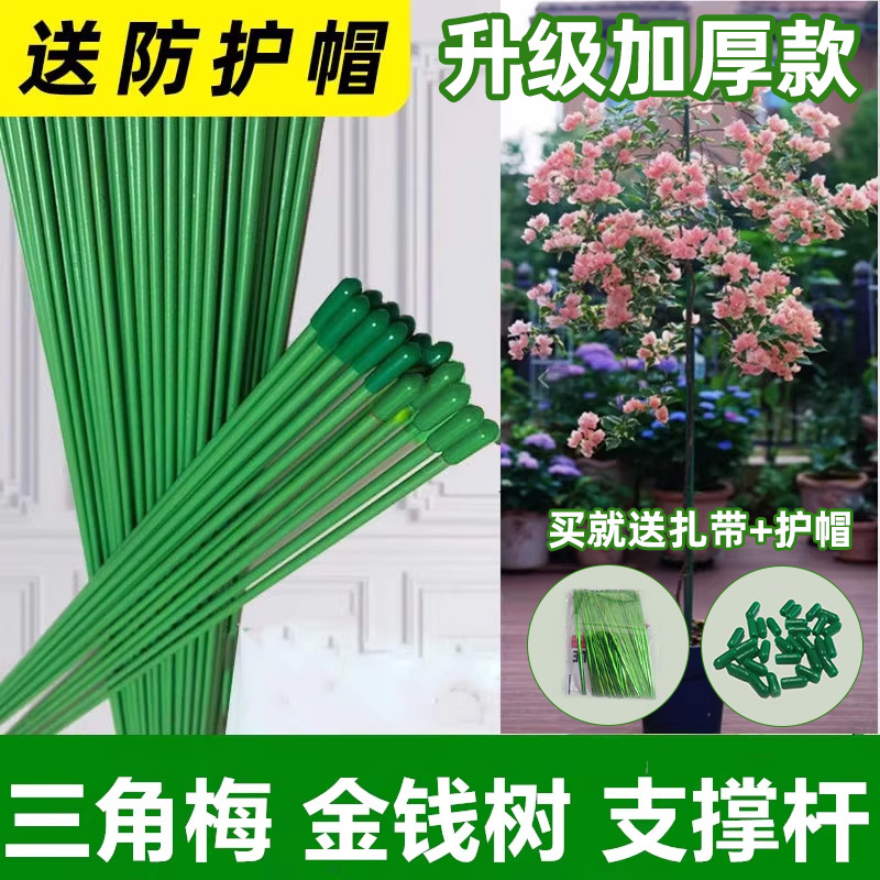 Money Tree Support Rod Anti-Fall Climbing Trellis Gardening Flower Stand Fixer Orchid Garden Plant Stake Fixing Rod