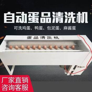 Egg washing machine new fully automatic egg washing machine mud egg mahjong egg salted duck egg stainless steel egg washing machine