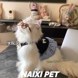 Dog Clothes Spring and Summer Bomei Small Cat Dog vest Skirt Preppy style Anti-Mool Gold Gradual Bears