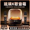 Jinyun microphone audio integrated microphone for home use