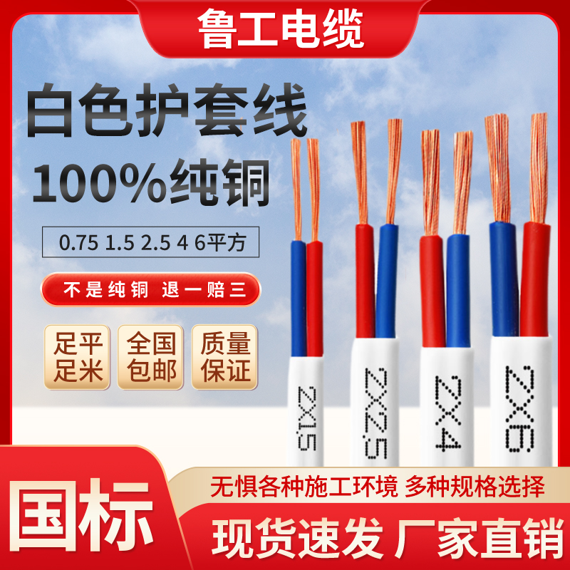 国家規格RVV銅芯線白被覆電線2芯3芯0.75/1/1.5/2.5/4/6角電源コードソフト電線