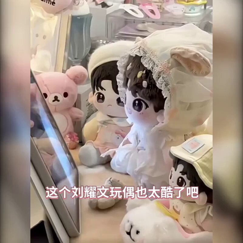 刘耀文20cm棉花娃娃时代少年团TNT可爱公仔有骨无骨玩偶属性礼物_棉花