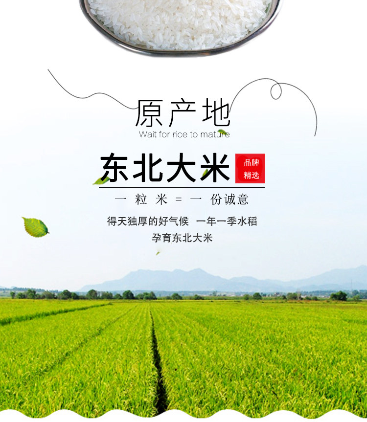 安享好物 安享C级粳米-奕米阳光东北大米 国标 