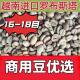 Robusta Coffee Beans Imported from Vietnam, New Season Coffee Green Beans from Laos, Commercial Medium-Sized Varieties, 16 Mesh 18 Mesh