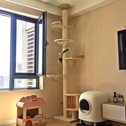 Cat Climbing Frame with Storage Cabinet, Solid Wood Cat Climbing Frame with Sky-High Pole, Cat Bed, Cat Tree, Large Space-Saving Design