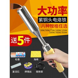 Deli High Power Wooden Handle Electric Soldering Iron Suit For Home Constant Temperature Electric Welding Pen Industrial Grade Digital Maintenance Soldering