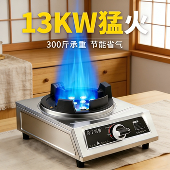 High-Power Commercial Gas Stove, Single Burner for Home Use, Liquefied Gas Double Burner for Stir-Frying, Tabletop Gas Stove for Stall Use
