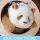 Фабрика панд x Guo Bu Guo Lai Ling Просыпается Qizai High Simulation Panda Doll Кукла Плюшевый игрушечный медведь Подарок mini 2