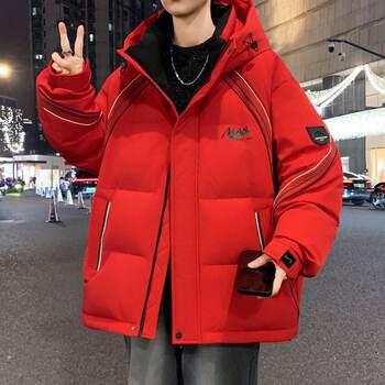 Woodpecker Stylish down Jacket for Men, Winter Thickened Warm Coat for Middle and High School Students, White Duck down Cold-Proof Clothing