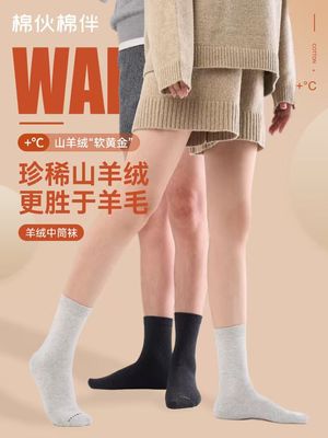 2025年11月25日更新【万能白菜价】的图片 第33张