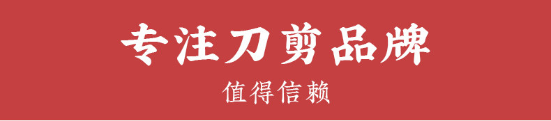 安享好物 安享A级斩切刀-十八子作锋帆斩切刀  