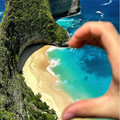 山西海鸟国旅深圳龙岗专营的LOGO