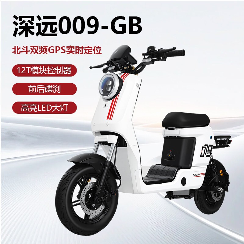 Shenyuan 009-Gb/009Gb New National Standard Electric Bicycle for Adult Household Use and Delivery Service Shenyuan 009-Gb/009Gb New National Standard Electric Bicycle for Adult Household Use and Delivery Service