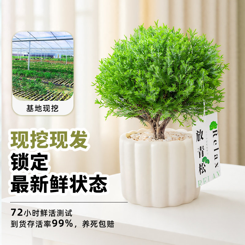 搞钱神器：拒绝焦虑，家人们都给我冲，这波操作绝绝子！