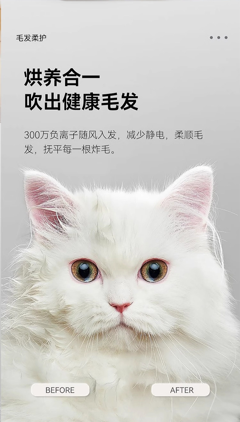 ПЭТ сушильный элемент 奥喵宠物智能烘干 干箱猫咪自动吹干 干机家用吹毛狗狗烘干 干吹风洗澡神器